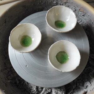La terre à offrir coupelle dessert